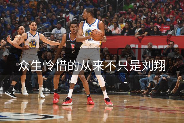 众生怜惜的从来不只是刘翔