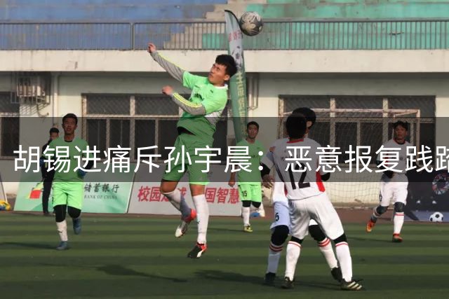 胡锡进痛斥孙宇晨：恶意报复践踏底线